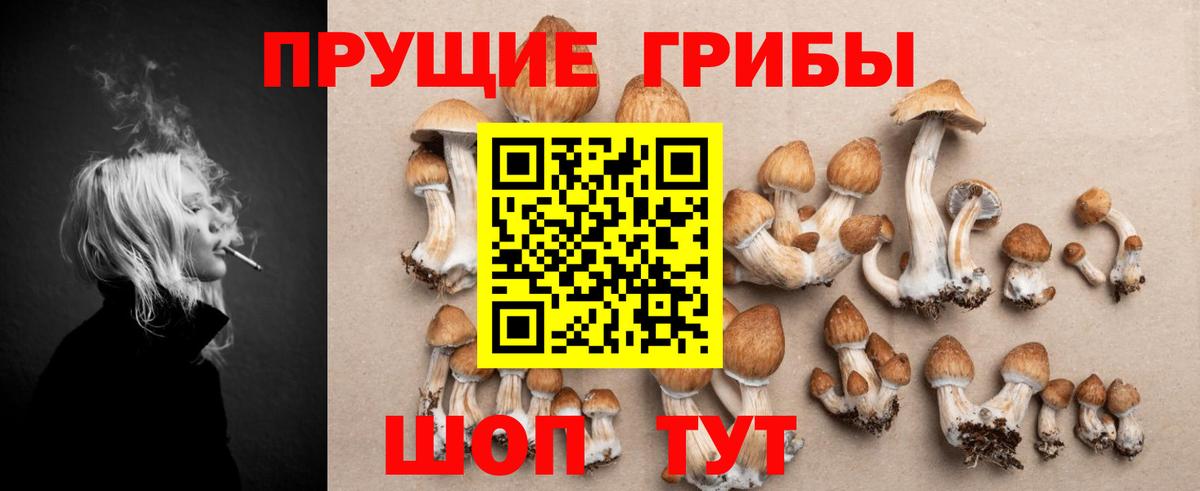 Псилоцибиновые грибы ЛСД Усть-Илимск