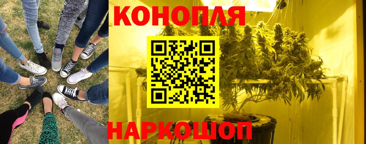 Бошки марихуана план  Вход с VPN  Каннабис Bruce Banner  Усть-Илимск  Каннабис Ganja  Каннабис сатива 